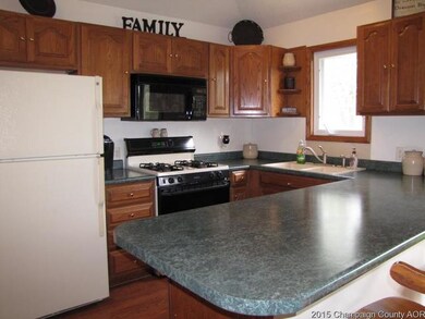 201 E Main St, Camargo, IL 61919 - photo 6