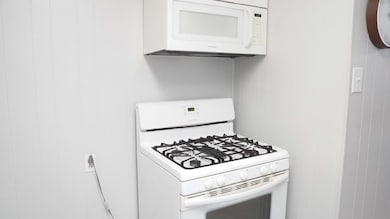 1013 S Smith Ave, Hebbronville, TX 78361 - photo 7