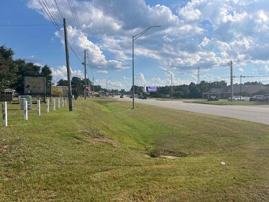 605 Western Bypass, Carolina, AL 36420 - photo 4