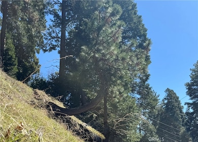 0 North Rd unit JT25064706, Twin Peaks, CA 92391 - photo 4