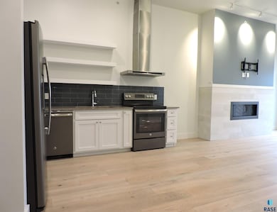 421 N Phillips Ave unit 406, Sioux Falls, SD 57104 - photo 4