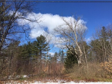 00 Province Lake Rd unit 18, East Wakefield, NH 03830 - photo 3