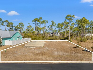 123 White Blossom Trail, Port Saint Joe, FL 32456 - photo 2