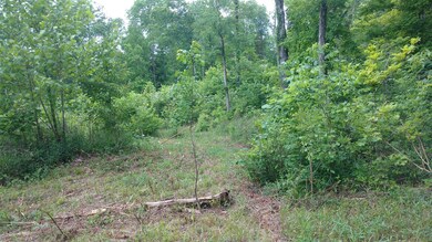 0 Milltown Rd unit 1720894, Lewisburg, TN 37091 - photo 4