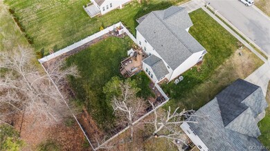 View of bird's eye view