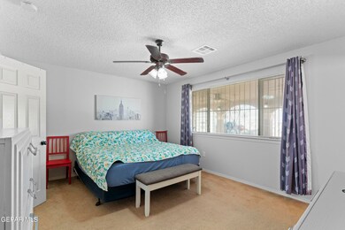 832 Desert Cactus Dr, Horizon City, TX 79928 - photo 7