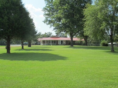 Beautiful Front Yard