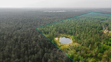 6612 Old Vanderbilt Rd, Vanderbilt, MI 49795 - photo 6