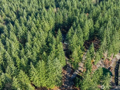 29704 SE 361st Place, Enumclaw, WA 98022 - photo 5