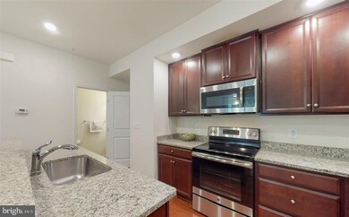 42231 Piebald Square, Aldie, VA 20105 - photo 5
