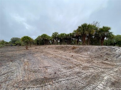 20018 NW 284th St, Okeechobee, FL 34972 - photo 5
