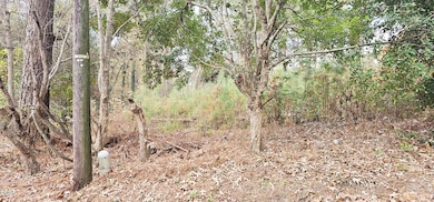 6026 Colonial Dr, Raleigh, NC 27603 - photo 4