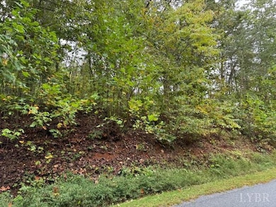 0 Deer View Rd, Gretna, VA 24557 - photo 4