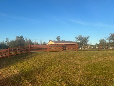 2081 White Buck Ct, Cleveland, TX 77328 - photo 4