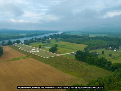 0 Water Front Place unit 1517821, Jasper, TN 37347 - photo 5