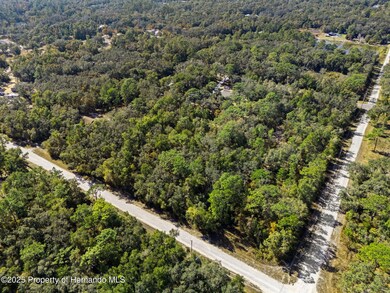 0 Norway St unit 2256792, Webster, FL 33597 - photo 3