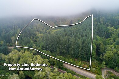 Drone View