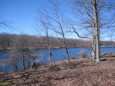 Lot 297 Mockingbird Ct, Lehman Township, PA 18324 - photo 5