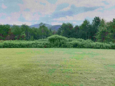 708 Butternut Hill Rd unit 11, Wells, VT 05774 - photo 6