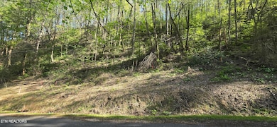 lot38pic4