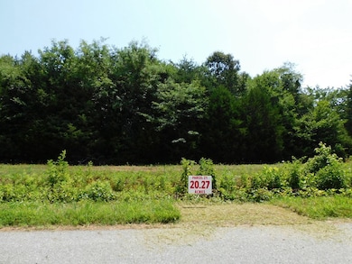 20.27 AC Lloyds Mill Rd, Clover, VA 24534 - photo 5