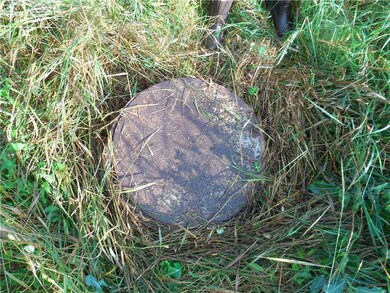 Septic tank lid is accessible.
