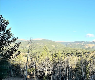 272, 298 & 310 Wise Rd, Bailey, CO 80421 - photo 6