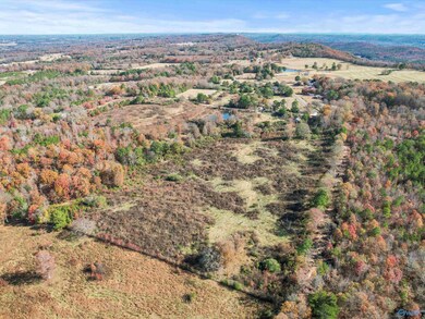 31 acres Beagle Rd, Sardis City, AL 35956 - photo 5