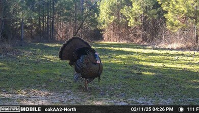 0 County Road 4210, Sallis, MS 39160 - photo 6