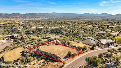 002_Aerial w Lot Lines