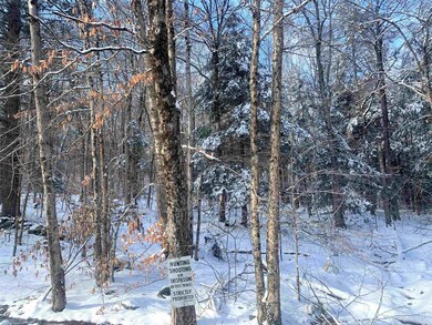 00 Wiswall Hill Rd, Newfane, VT 05345 - photo 3