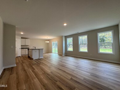 209 Hill Valley Dr unit (Lot 58), La Grange, NC 28551 - photo 4