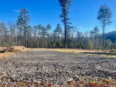 122 Skyview Ln, Dingman Township, PA 18337 - photo 3