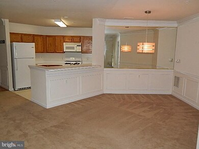 12451 Hayes Ct unit 103, Fairfax, VA 22033 - photo 6