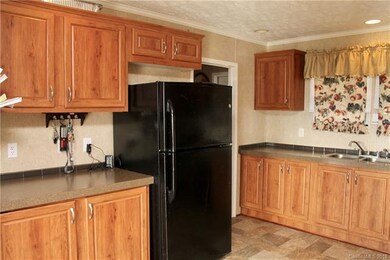 60 Green Acres Dr, Leicester, NC 28748 - photo 5