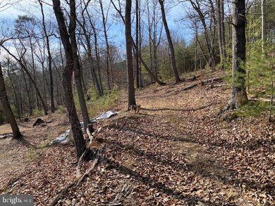 26851 Wv-55, Wardensville, WV 26851 - photo 3