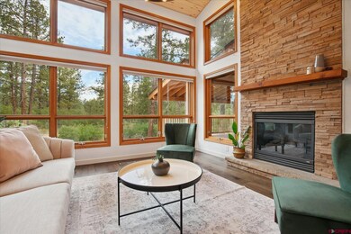 270 N Lakeside Dr, Durango, CO 81303 - photo 5