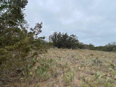 Lot 22 Cr 140, Burnet, TX 78611 - photo 2