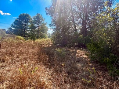 411 Laura Ln, Bastrop, TX 78602 - photo 6