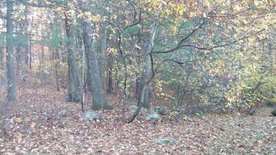 7 S Commons, Lincoln, MA 01773 - photo 3