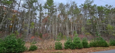 Lot 28 Summit Dr, Eldred, NY 12732 - photo 4