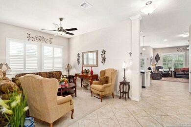 10402 Palmera Dr, Helotes, TX 78023 - photo 7