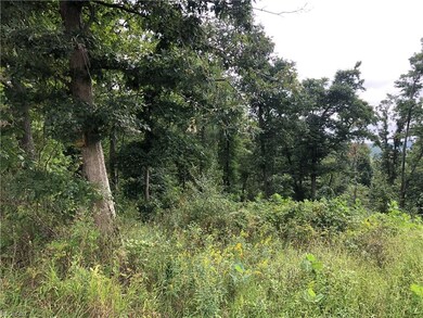 0 Chestnut Ridge Rd unit 4038675, Danville, OH 43014 - photo 3