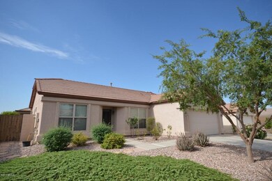 3143 Peach Tree