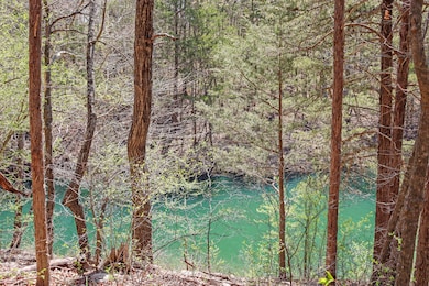 Tbd 789 Everest (Lot 4 & 5) Rd, Galena, MO 65656 - photo 2