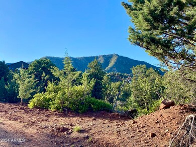 Cypress Hills Lots 17 & 18 --, Pine, AZ 85544 - photo 4