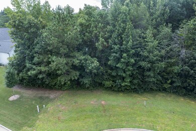 55 Appleblossom Ct, Pittsboro, NC 27312 - photo 5