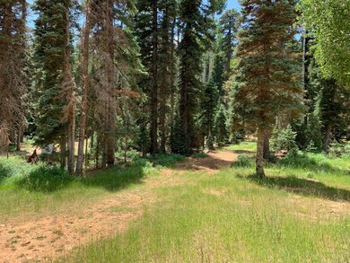 865 W Bear Track, Duck Creek Village, UT 84762 - photo 2