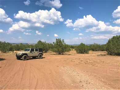 45210 N Honeysuckle Rd, Ash Fork, AZ 86320 - photo 3