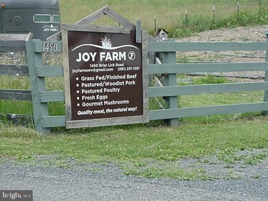 1450 Briar Lick Rd, Rio, WV 26755 - photo 7